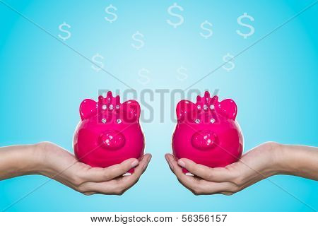 Woman Holding Piggy Bank