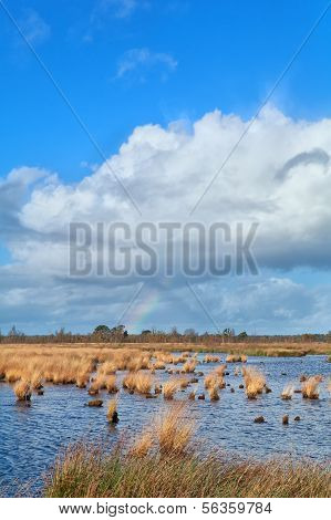 Rainbow a modrá obloha nad Swamp