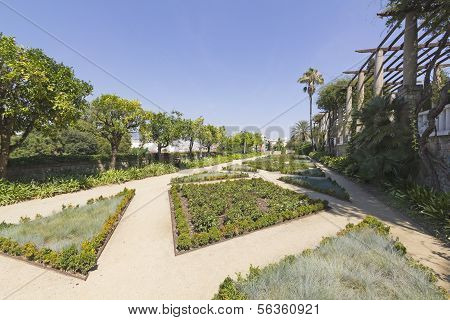 View Of Teatre Grec Garden, In Barcelona Spain