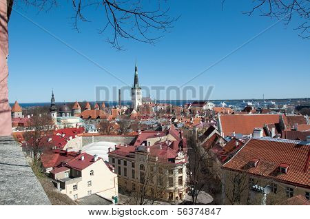 Tallin