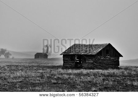 The Pig Barn