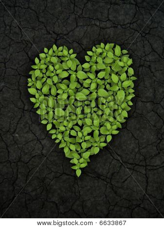 Grön växt hjärtat på sprucken jord