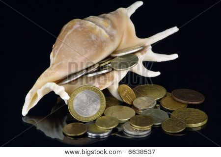 Münzen In eine Schüssel geben