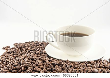 Coffee Cup