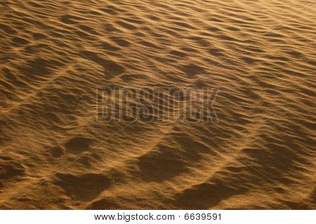 Sandy krajina