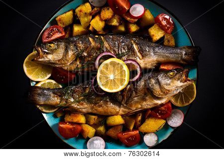 Bass Fish Grilled