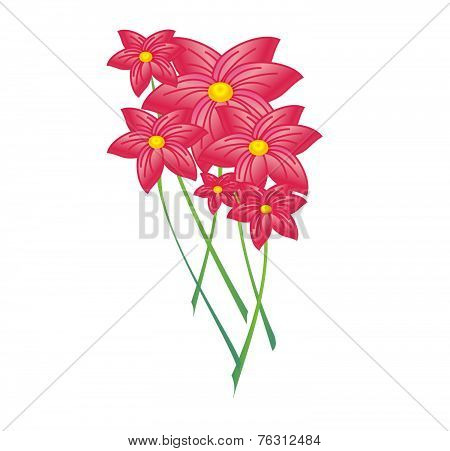 Red Flower