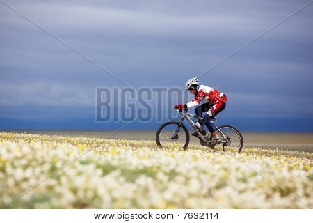 Frühlings-Abenteuer-Mountain Bike Wettbewerb