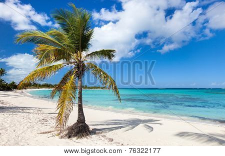 Beautiful tropical beach at Exuma Bahamas