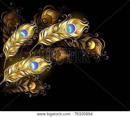 Golden Peacock Feathers