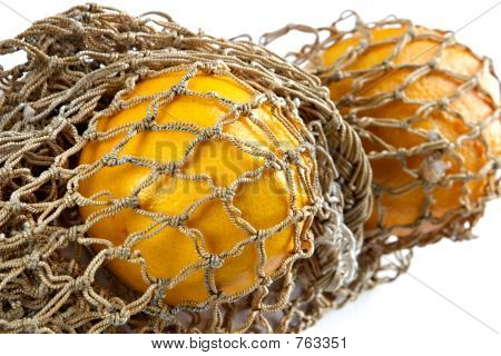 ส้มในสตริงถุง