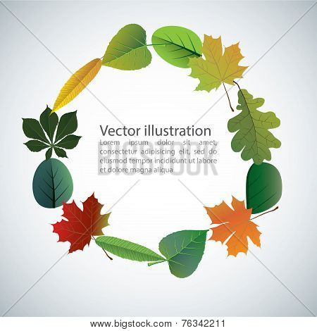 Vector Of Autumn Colorful Leaves.