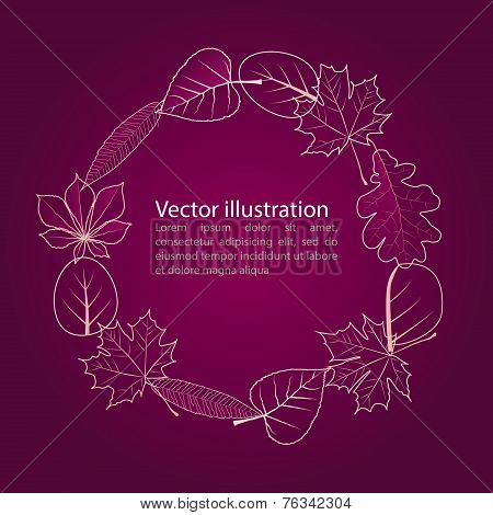 Vector Of Autumn Colorful Leaves.