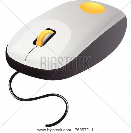 Computer Mouse, Illustration