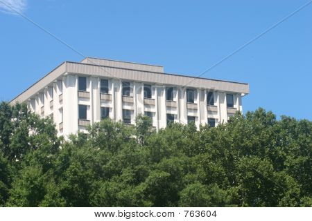 Kancelářská budova za stromy