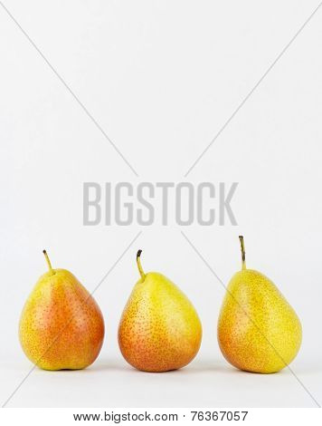 Three Forelle Pears