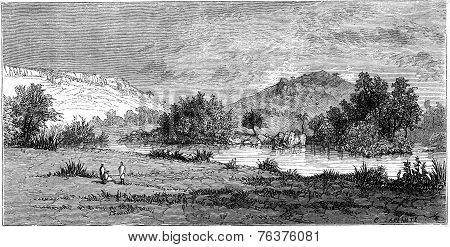 Berhan, Vintage Engraving.