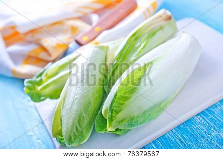 fresh chikory
