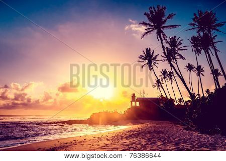 Extremely beautiful  sunset under the coconut plams on Sri Lanka beach.