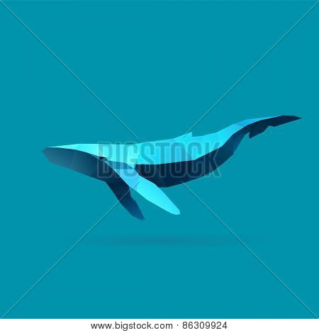 Whale
