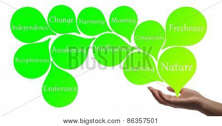 Colour Therapy - Light Green Healing Energy