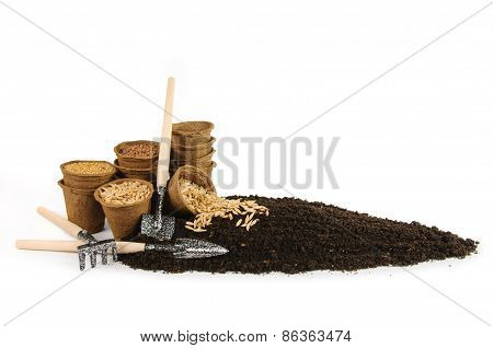 Peat Pots With Seeds