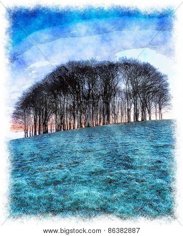 Frosty Winter Sunrise