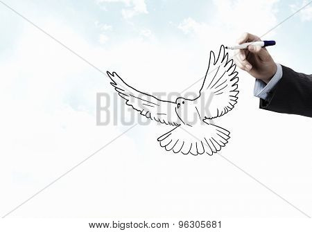 Close up of male hand darwing pigeon on white background