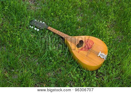 Mandolin lost in spring grass
