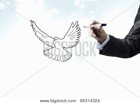 Close up of male hand darwing pigeon on white background