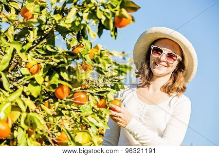 Caucasian girl harvesting mandarins and oranges in organic farm