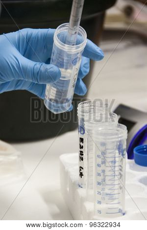 Biologist At Work In A Laboratory