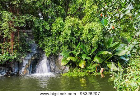 Little Forest