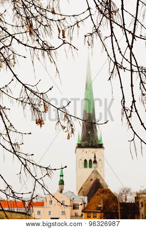 Tree branches, Old Tallinn in the background and the Church of St. Olaf