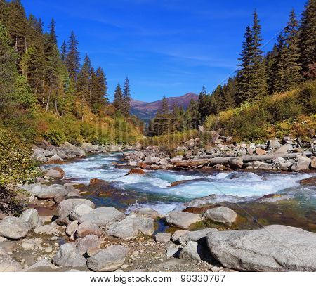 Pastoral in the Alpine mountain valley in Austria. Cascades of cold water at the source of the famous Krimml waterfalls. Rapid mountain stream of coniferous forests