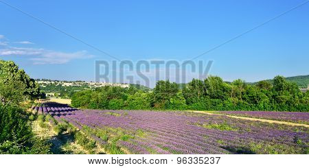 Provence, France