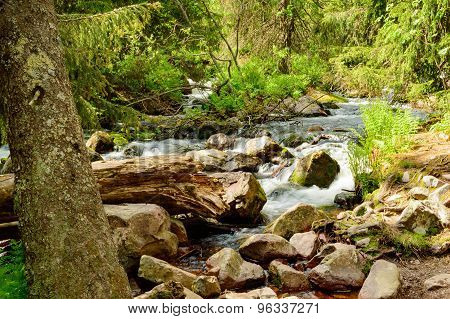 Small River