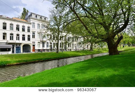 Beautiful Westersingel Street Near Museumpark In Rotterdam