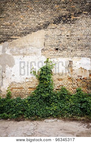 Yellow Brick Wall Background