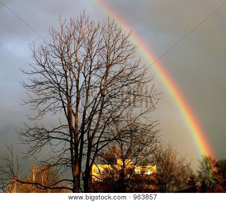 Regenbogen In der Stadt