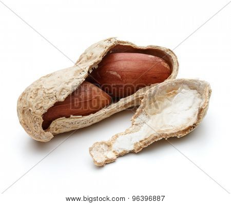 peanut pod or arachis isolated on white background cutout