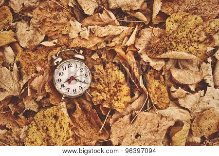 Vintage Alarm Clock In Dry Autumn Leaves