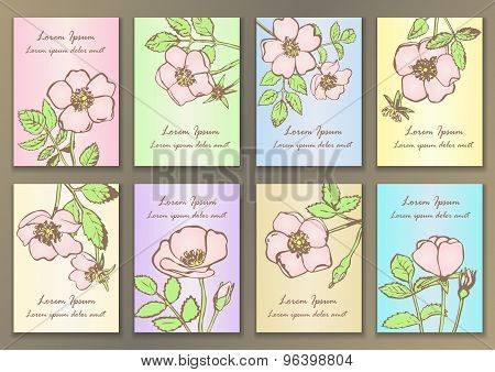 Set Vintage Posters with hand drawn roses