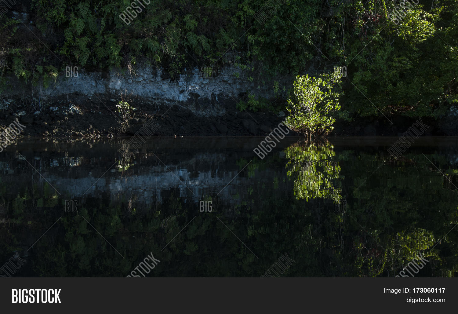Lagoon Reflection Image & Photo (Free Trial) | Bigstock