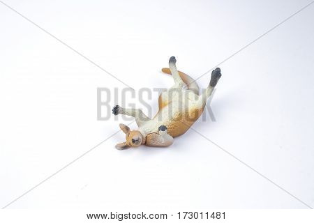 The Plastic Toys Of Kangaroo