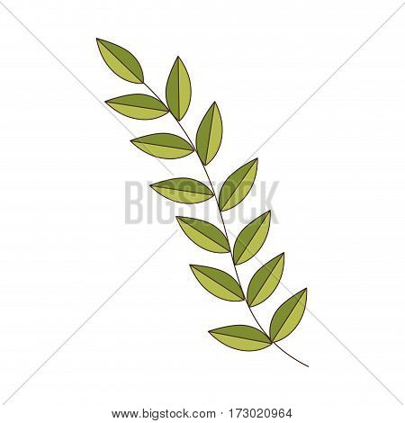 green Silhouette oval leaves with ramifications vector illustration