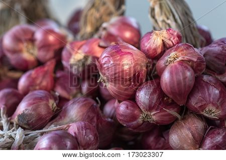 Stack of shallots (Allium ascalonicum) or red onions background with selective focus.
