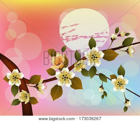 Nature background with blossom branch of pink sakura flowers. Vector template isolated