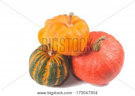beautiful Fancy pumpkin on a white background