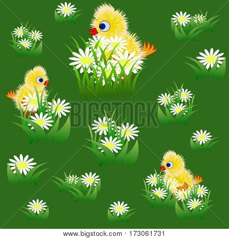 Seamless pattern with little funny yellow chicks and chamomiles in grass. Vector illustration